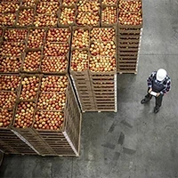 Immagine corso eLearning Corso online - HACCP e igiene alimentare - Produzione e trasformazione prodotti deperibili - 6 ore